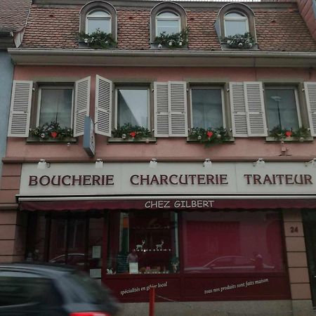 "Cote Nature", Appartement Cosy Au Coeur De Munster Munster  Eksteriør billede