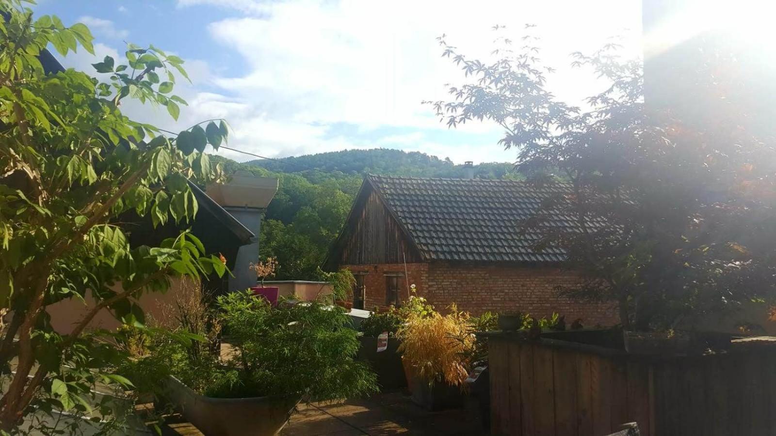 "Cote Nature", Appartement Cosy Au Coeur De Munster Munster  Eksteriør billede