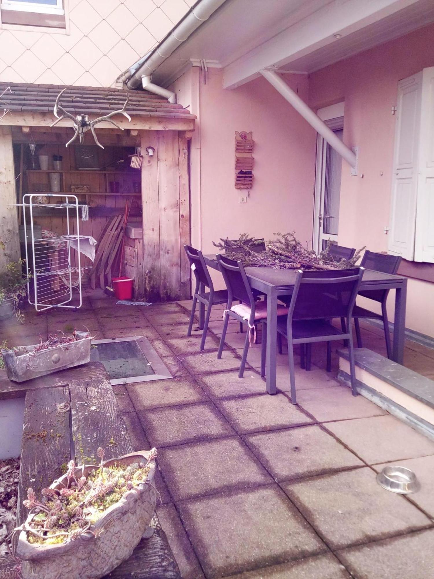 "Cote Nature", Appartement Cosy Au Coeur De Munster Munster  Eksteriør billede