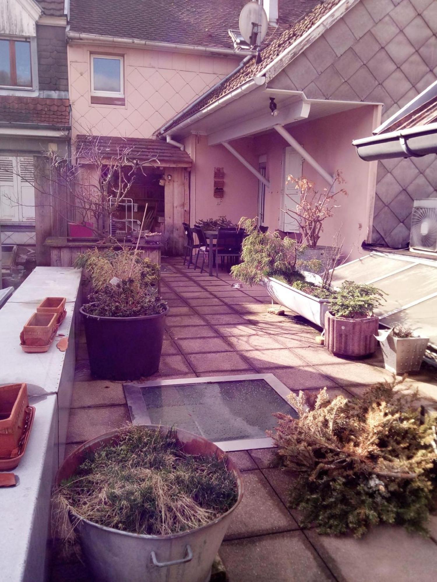 "Cote Nature", Appartement Cosy Au Coeur De Munster Munster  Eksteriør billede