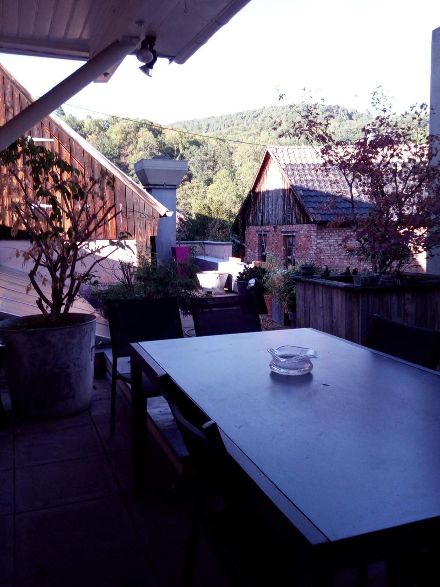 "Cote Nature", Appartement Cosy Au Coeur De Munster Munster  Eksteriør billede