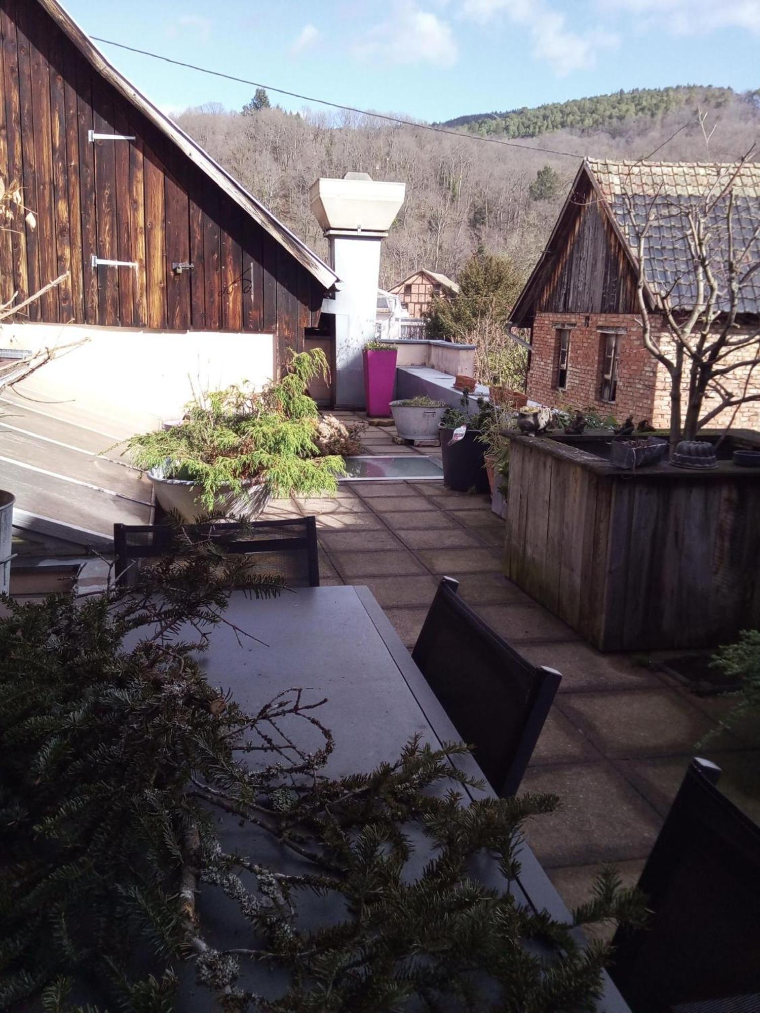 "Cote Nature", Appartement Cosy Au Coeur De Munster Munster  Eksteriør billede